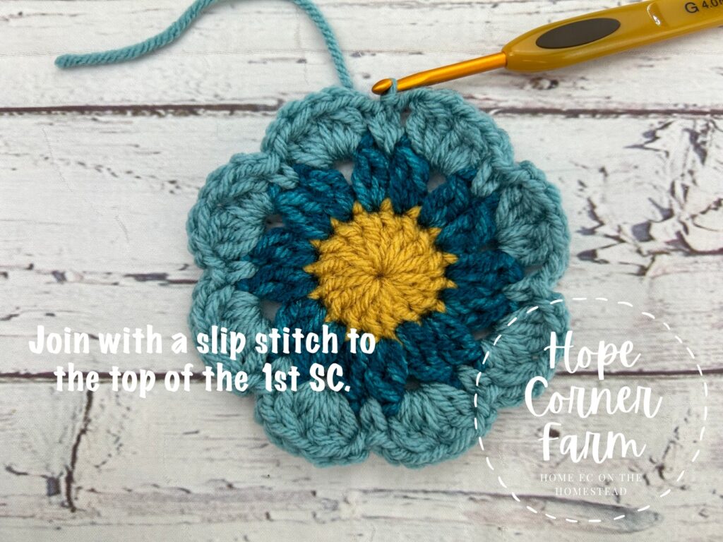 join with a slip stitch to the top of the 1st sc