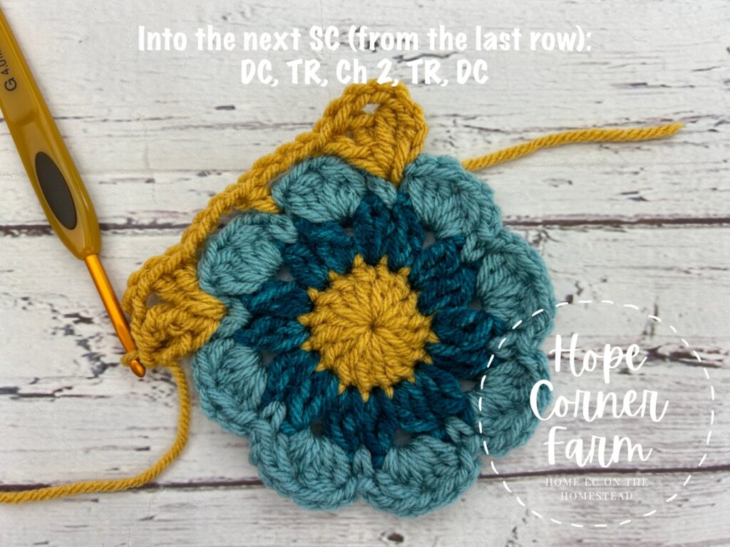 create the next corner by placing a double crochet stitch, triple crochet stitch, chain 2, treble crochet stitch, double crochet stitch in the next SC