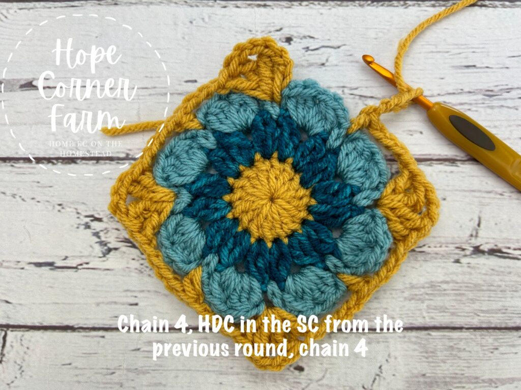 chain 4, half double crochet stitch, chain 4
