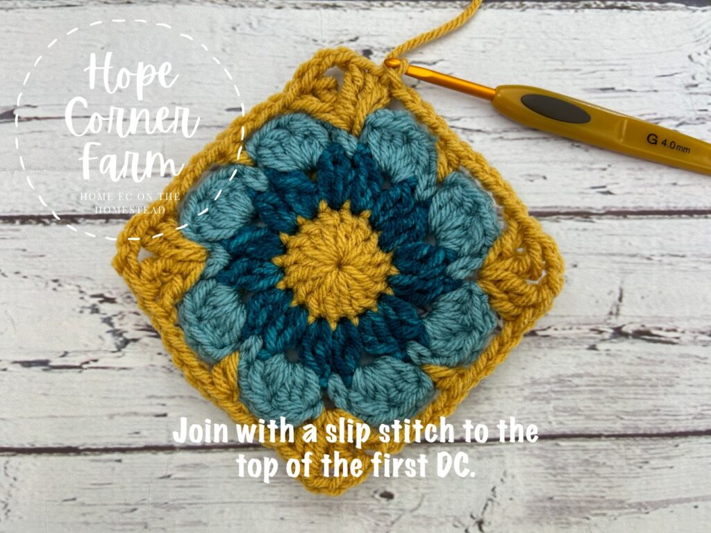 join with a slip stitch to close the round of crochet