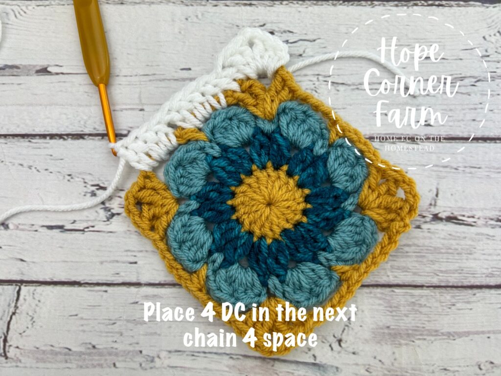 place four double crochets in the chain 4 space