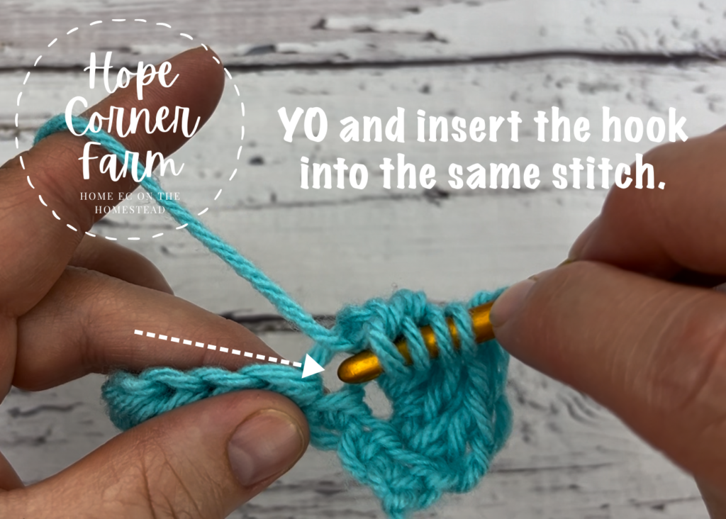 Yarn over again and insert the hook into the same crochet stitch