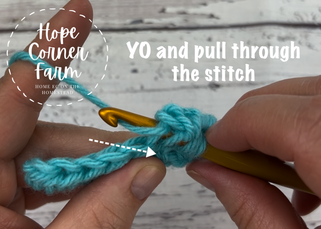 YO and pull through the stitch