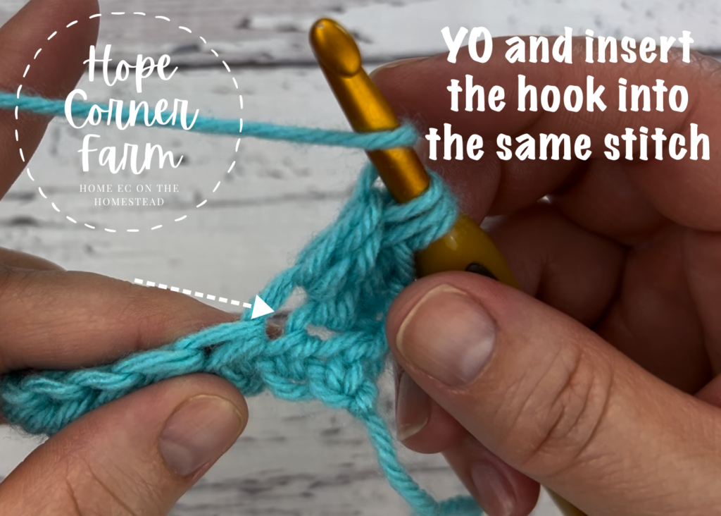 YO and insert the hook into the same stitch