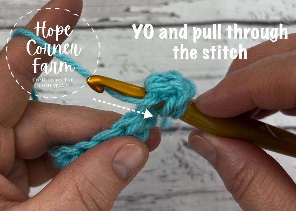 YO and pull through the crochet stitch