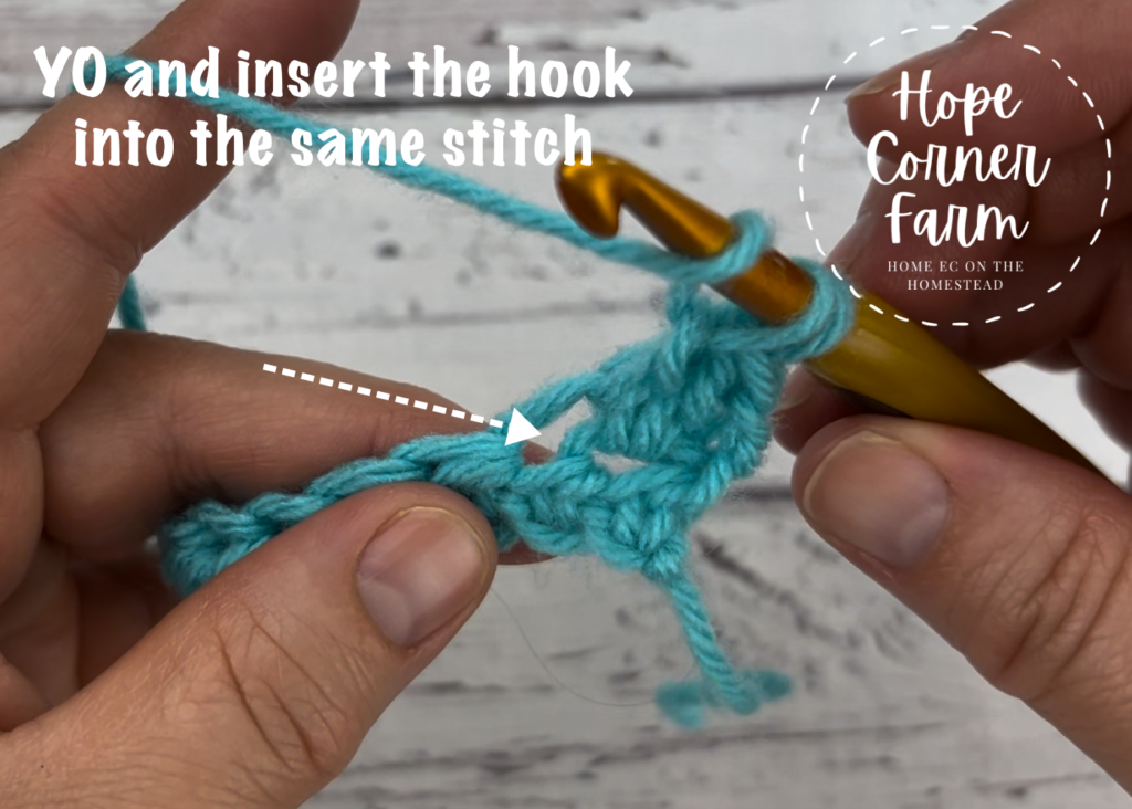 Yarn over and insert the hook into the same stitch