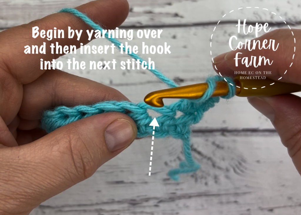Start by yarning over and inserting the crochet hook into the next stitch