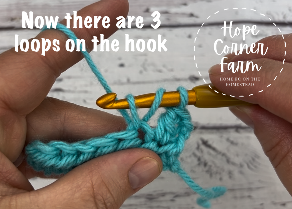 3 loops of yarn on the crochet hook