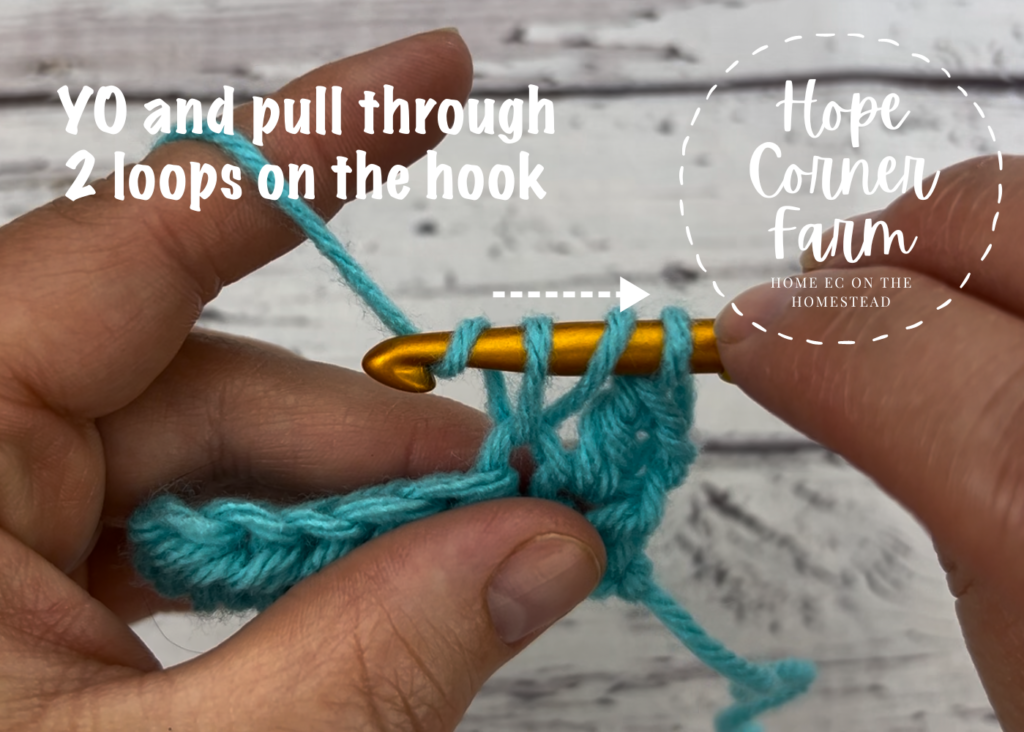 step 3 crochet cluster stitch