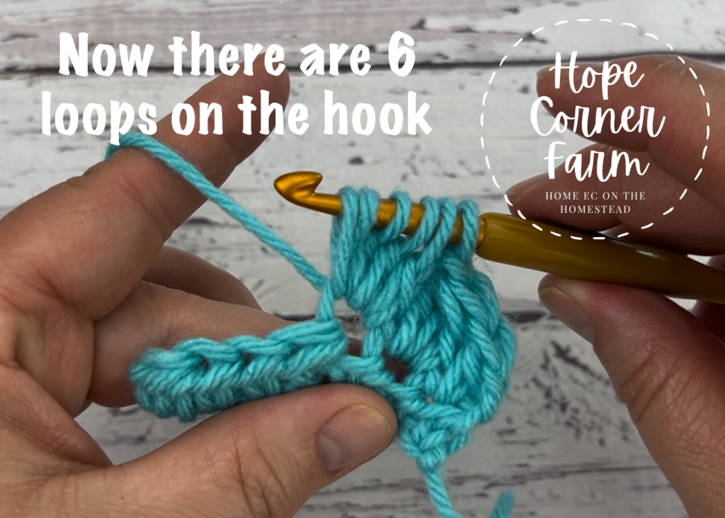 6 loops of yarn on the crochet hook