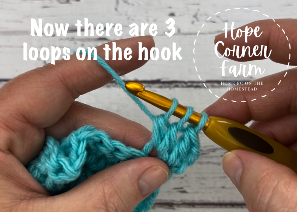 Now there are 3 loops on the crochet hook