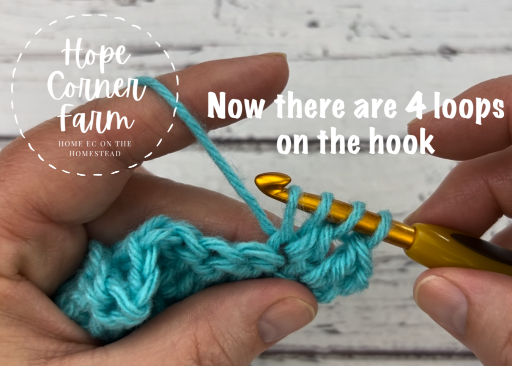 there are 4 loops on the crochet hook DC2tog crochet stitch