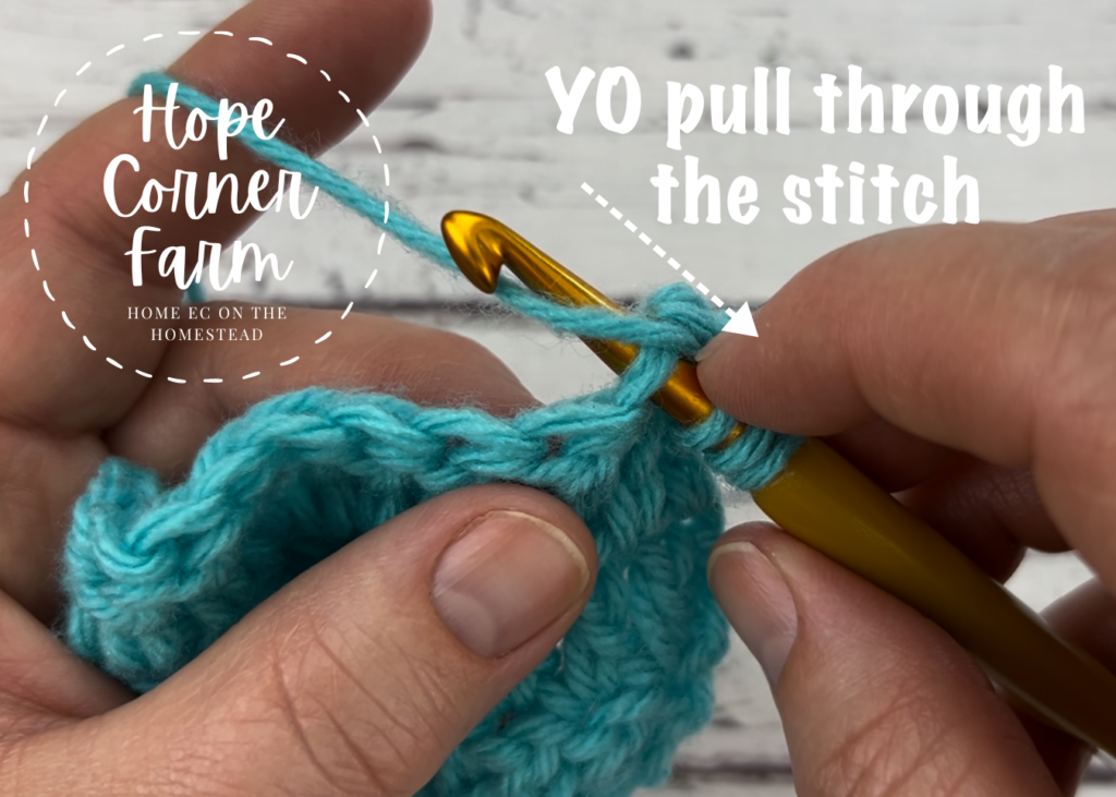 Yarn over and pull through the crochet stitch