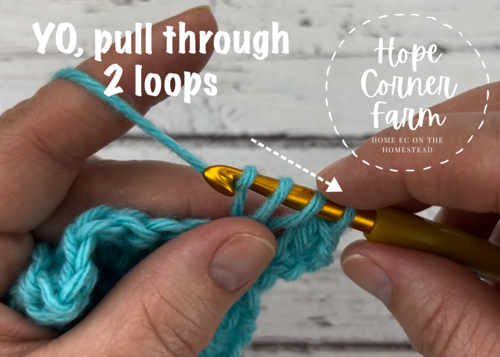 Yarn over and pull through 2 yarn loops on the crochet hook