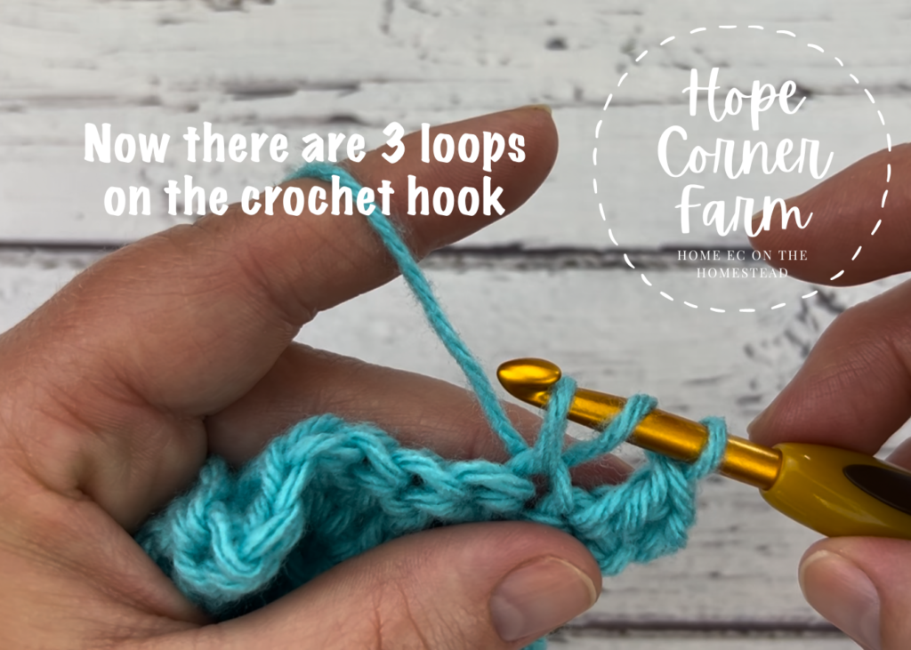 There are 3 loops on the crochet hook at this point in the double crochet 2 together stitch