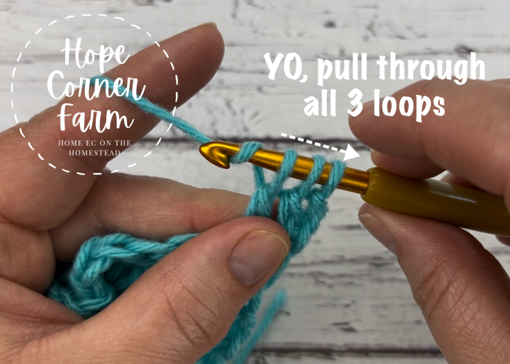 Yarn over and pull through all 3 loops on the hook to complete the double crochet 2 together 