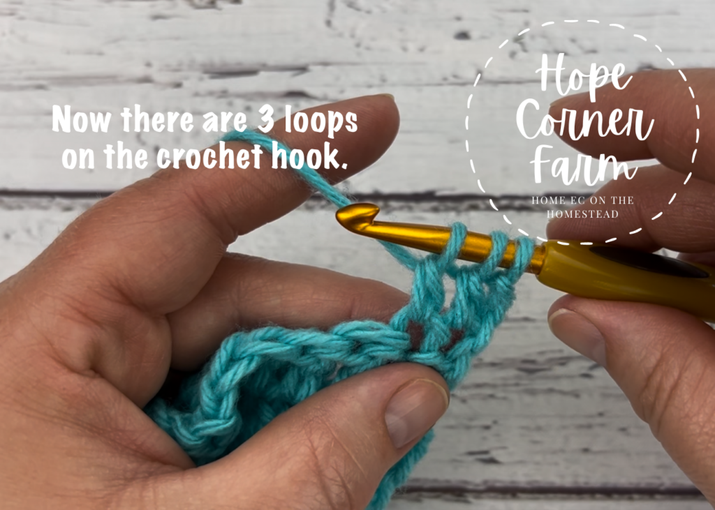 3 loops on the crochet hook