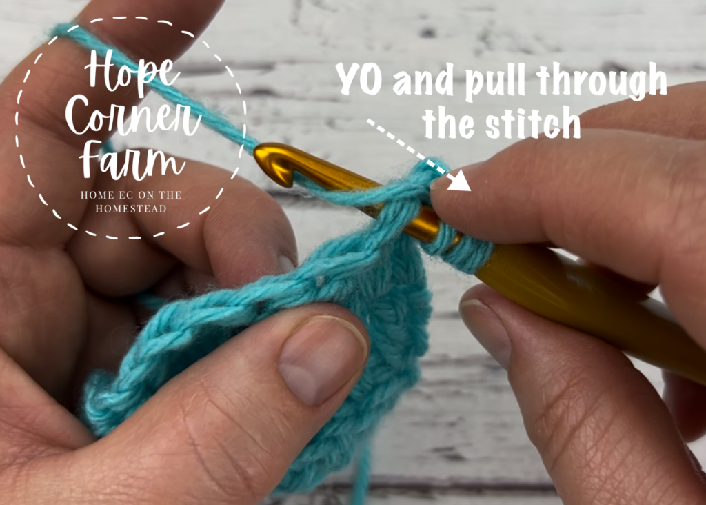 Yarn over and pull through the crochet stitch