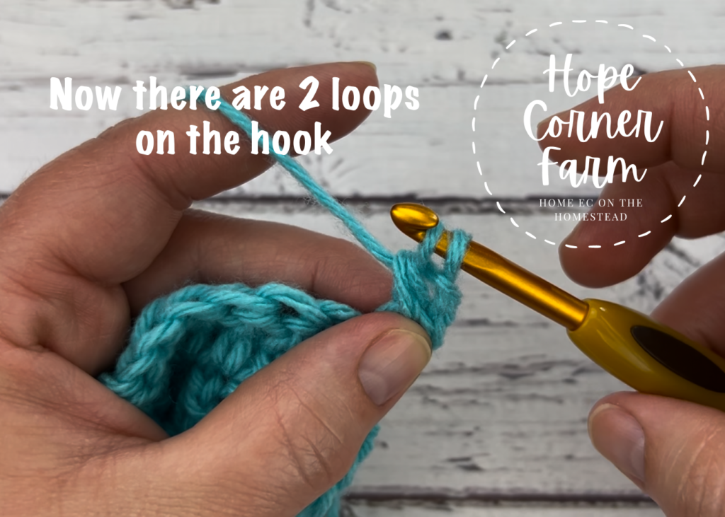 2 loops on the crochet hook for the DC2TOG crochet stitch