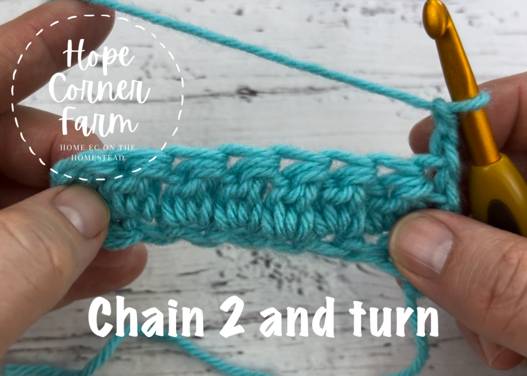 Chain 2 and turn to start a row using the DC2Tog.