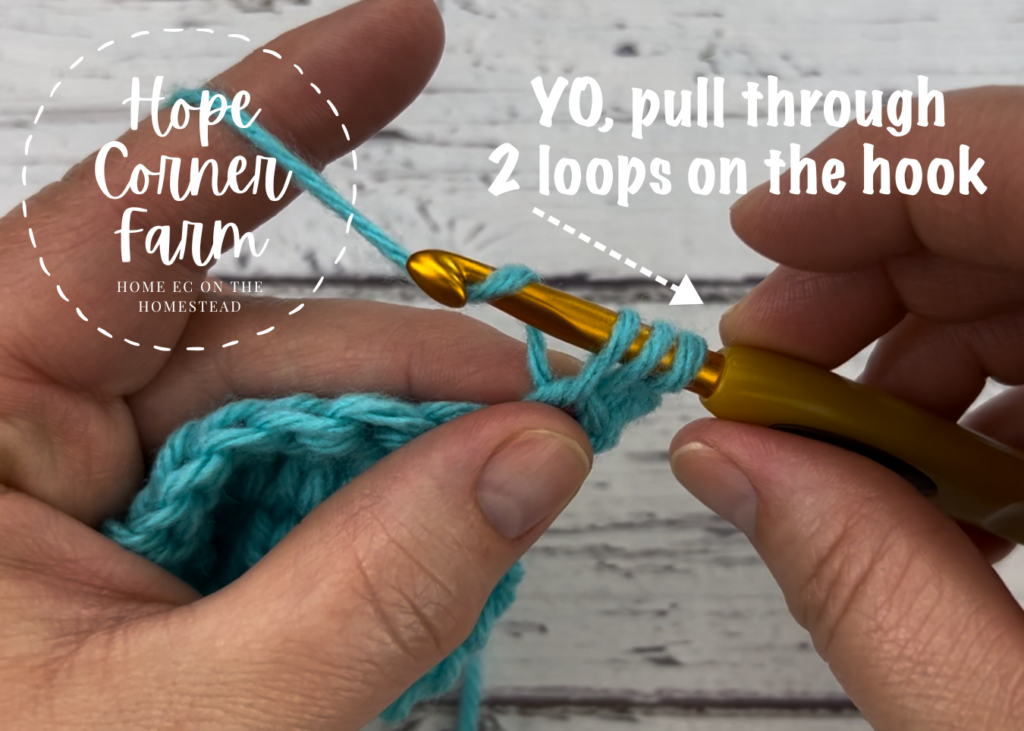 Yarn over and pull through 2 loops on the crochet hook