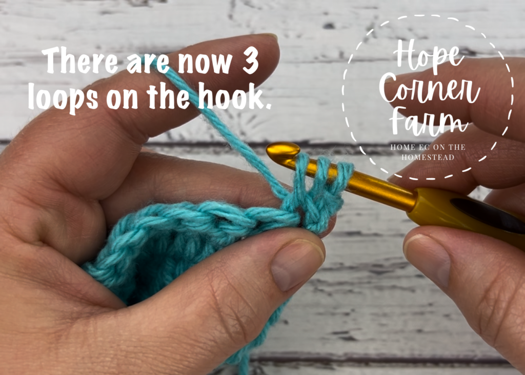 There are now 3 loops on the crochet hook Hope Corner Farm Crochet