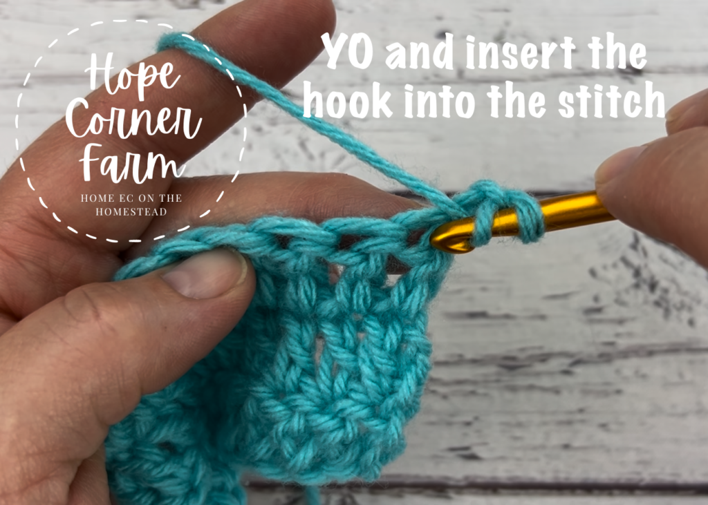 Yarn over and insert the hook into the crochet stitch