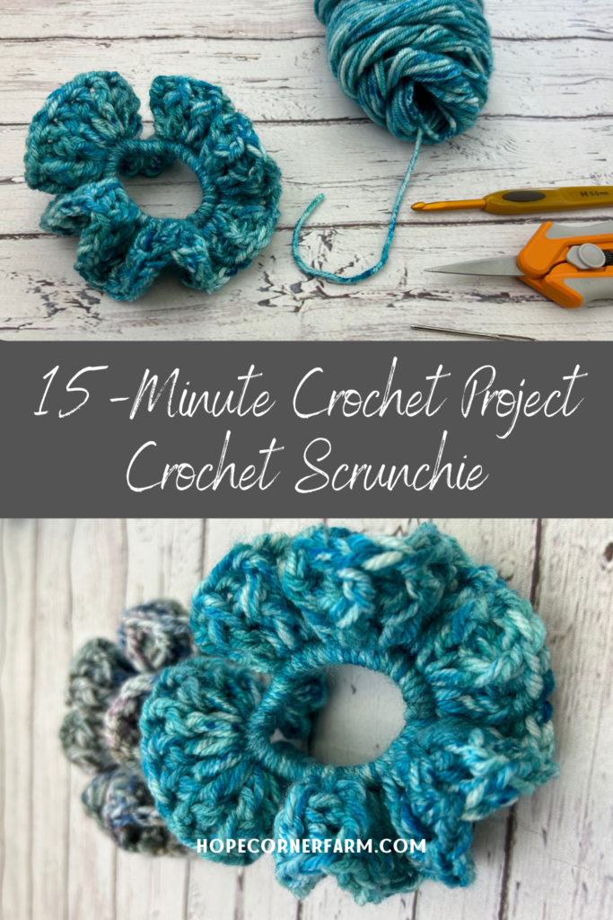 crochet scrunchies pattern
crochet scrunchies tutorial
15-minute crochet project