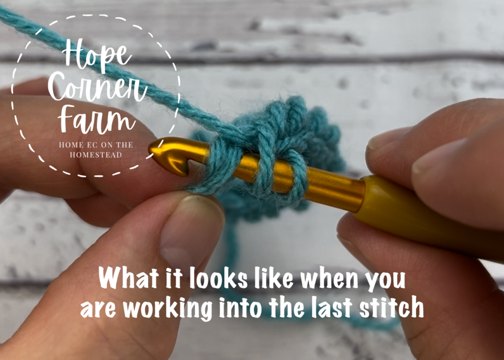 What correct crochet hook placement looks like.