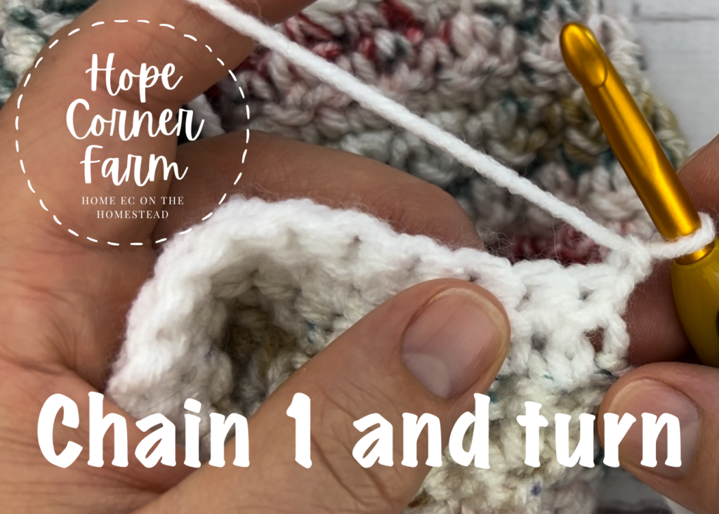 chain 1 and turn to start row 3 of the crochet blanket border