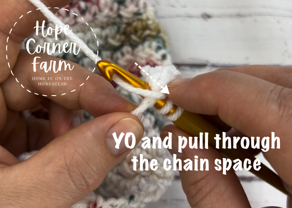 Yarn over and pull through the chain space