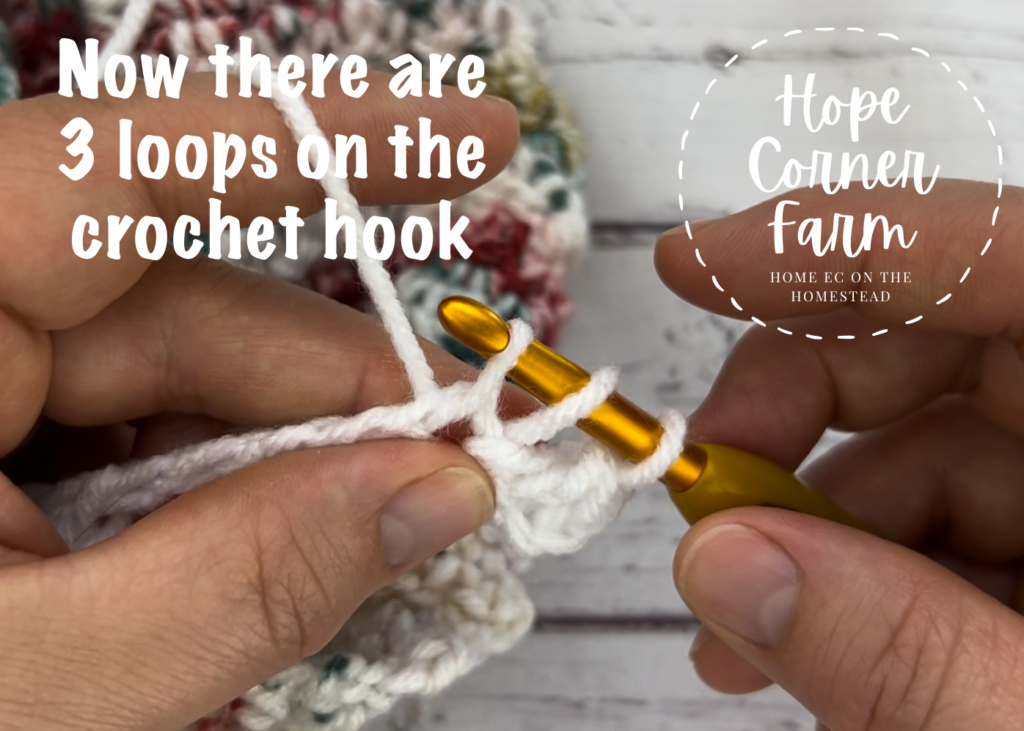 3 loops of yarn on the crochet hook