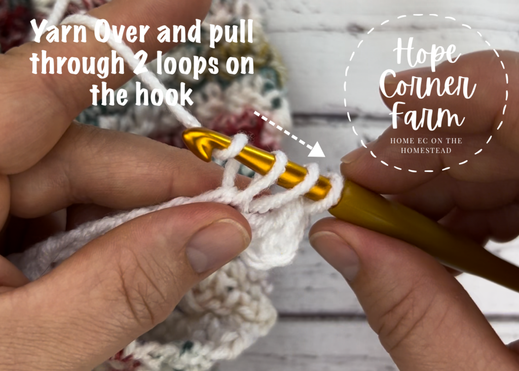 Yarn over and pull through 2 loops on the crochet hook