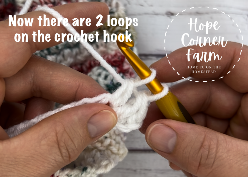 Now there are 2 loops of yarn on the crochet hook