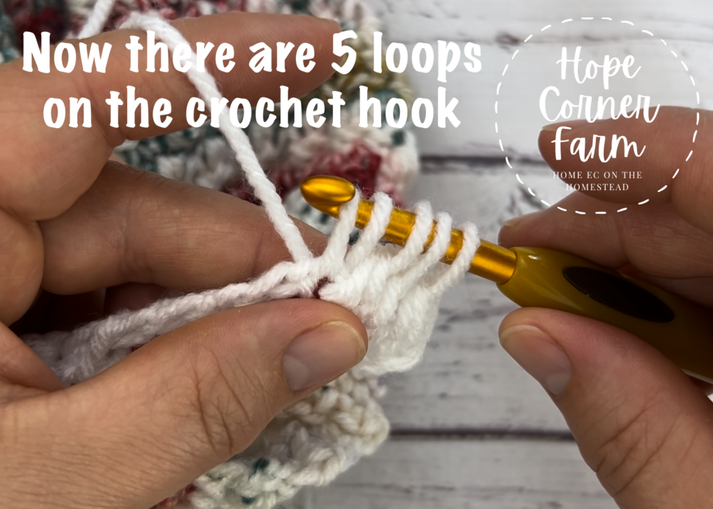 Now there are 5 loops of yarn on the crochet hook