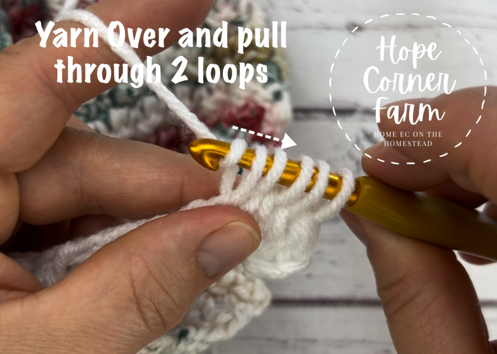 Yarn Over and pull through 2 loops of yarn on the crochet hook