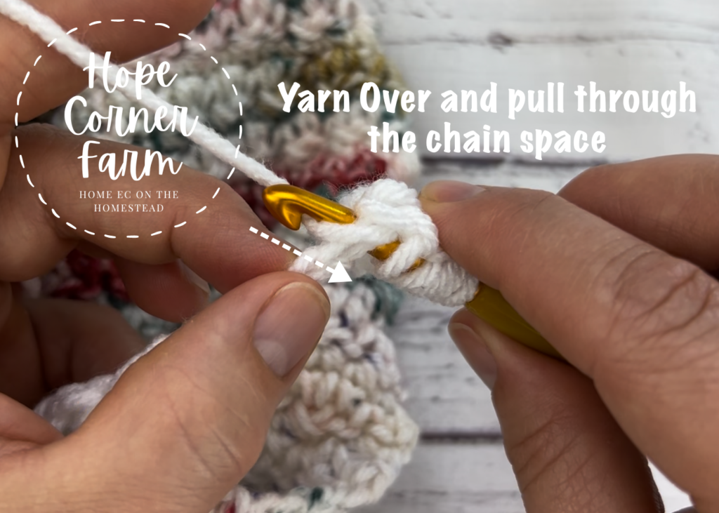 Yarn Over and pull through the chain space