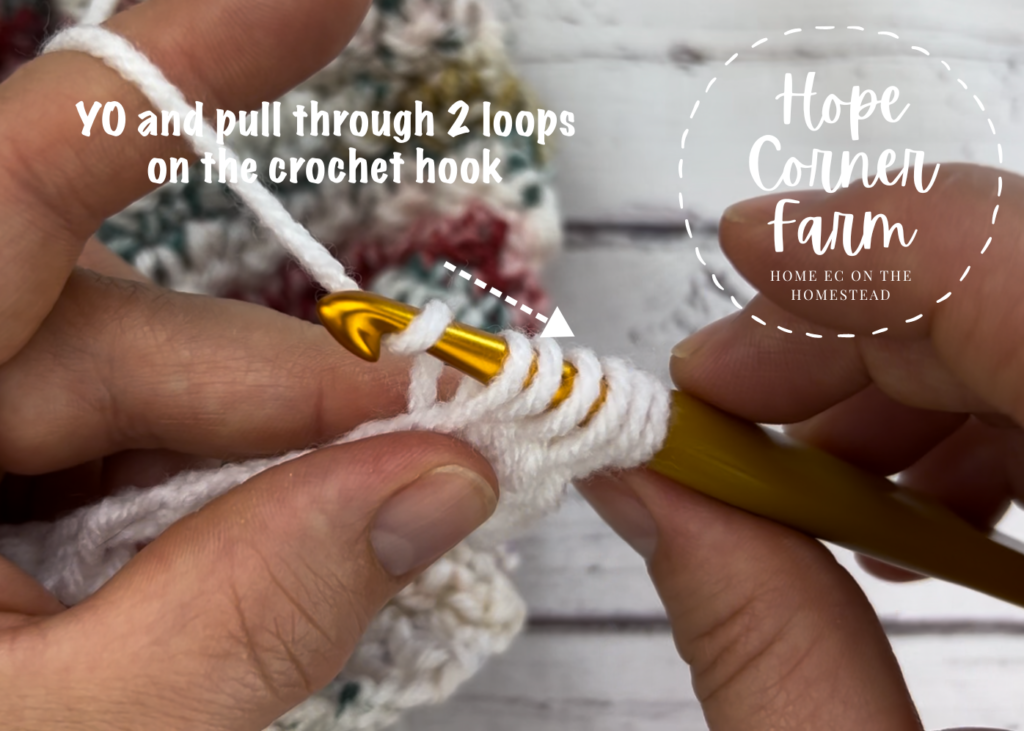 Yarn Over and pull through 2 loops of yarn on the crochet hook