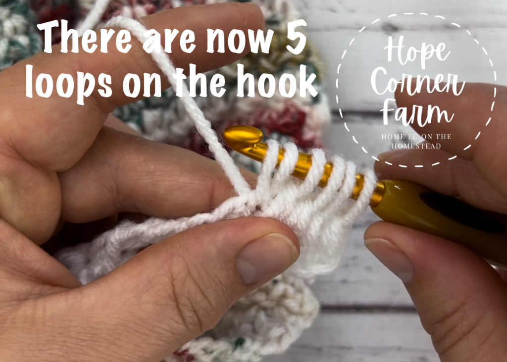 There are now 5 loops of yarn on the crochet hook