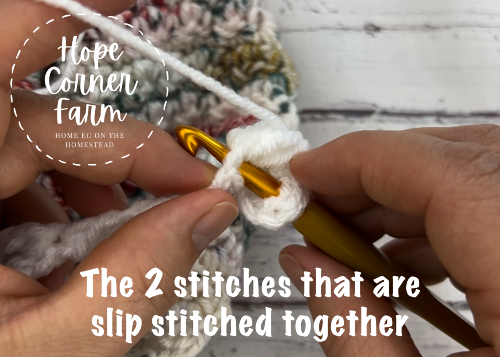 The 2 crochet stitches that are slip stitched together