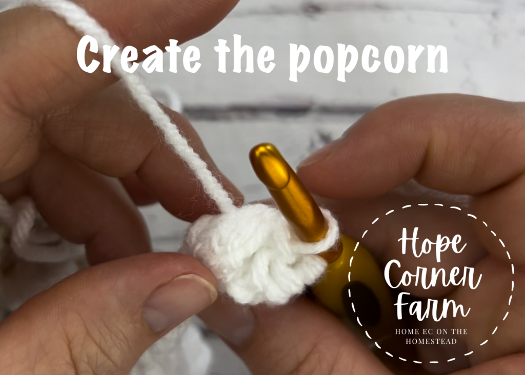 Create a popcorn or pom pom stitch for the crochet blanket border from Hope Corner Farm