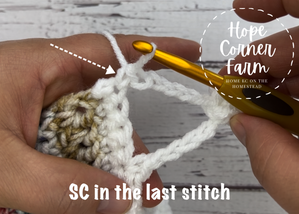 Single Crochet in the last stitch of the row for the crochet blanket border