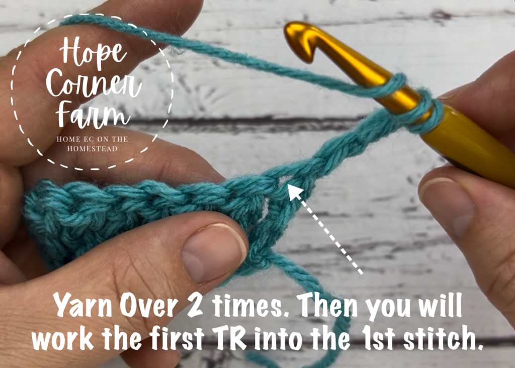 Yarn over twice and insert the hook into the first stitch