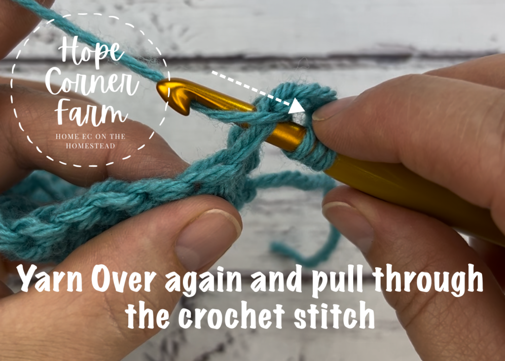 YO and pull through the crochet stitch