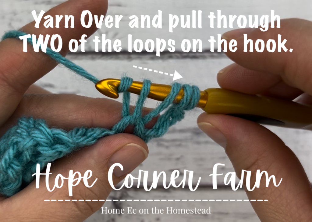 Yarn over and pull through 2 loops