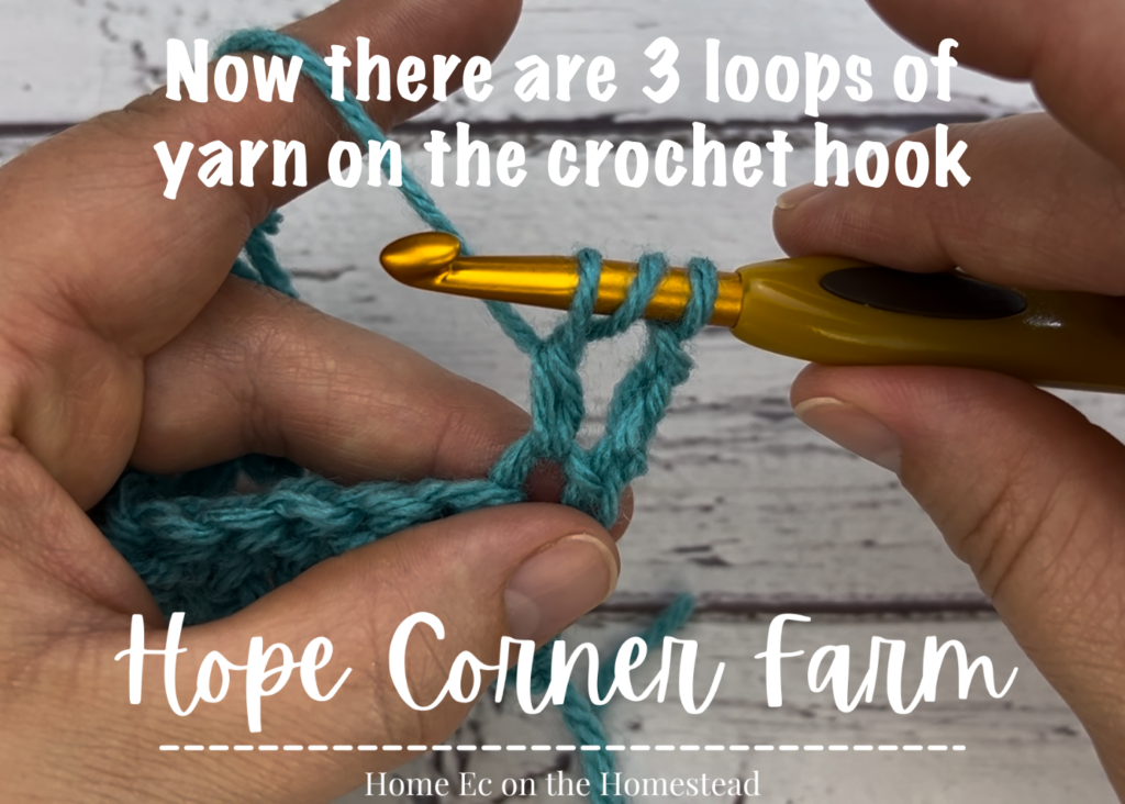 Step 4 Triple Crochet Stitch