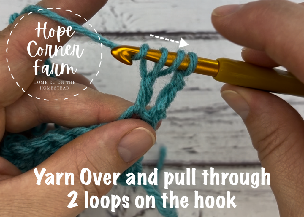 YO and pull through 2 loops on the crochet hook