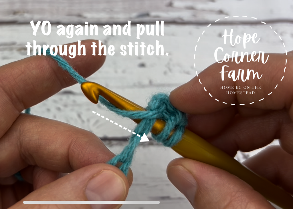 Yarn over and pull through the stitch