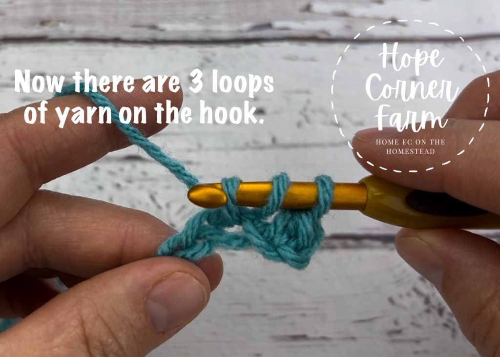 3 loops of yarn on the hook how to half double crochet stitch