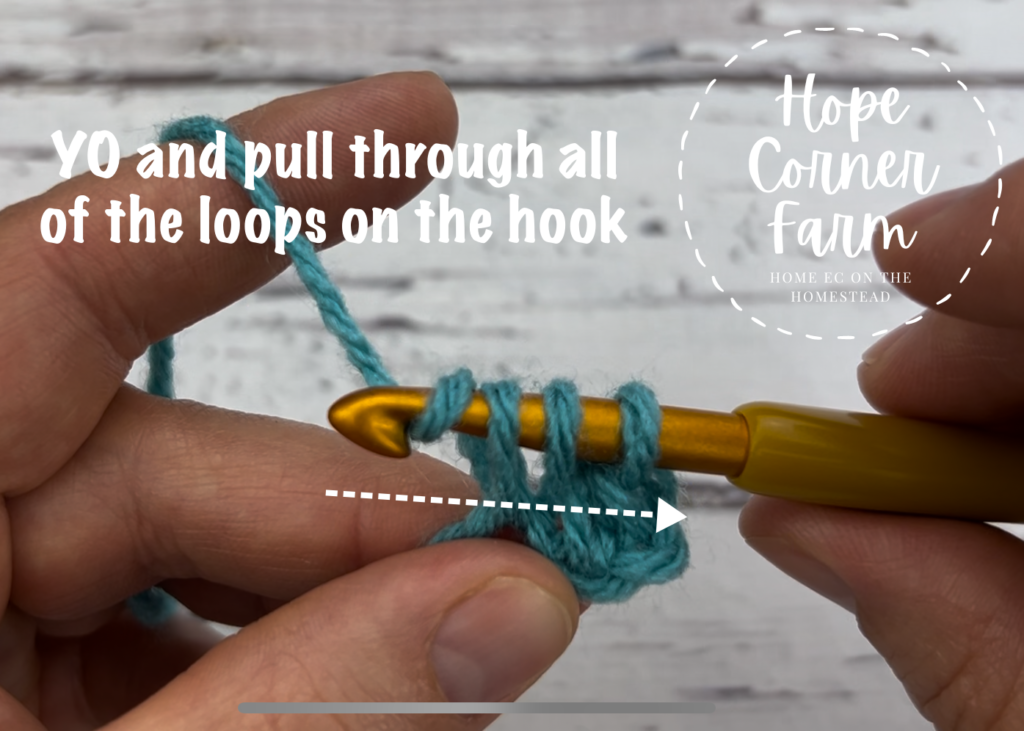 Yarn over and pull through all 3 loops on the hook